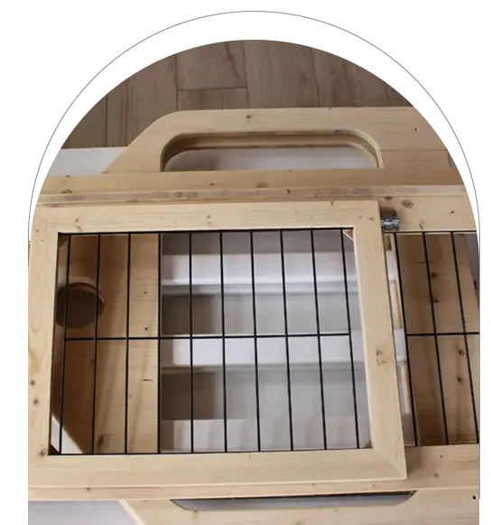 cabane pour chien