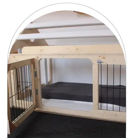 cabane pour chien